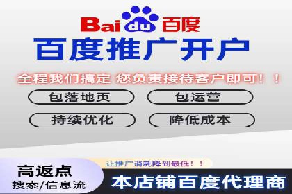搜索引擎营销（SEM）专员的挑战与机遇